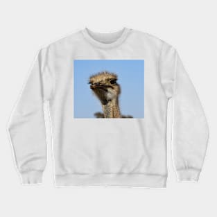 Male African Ostrich Crewneck Sweatshirt